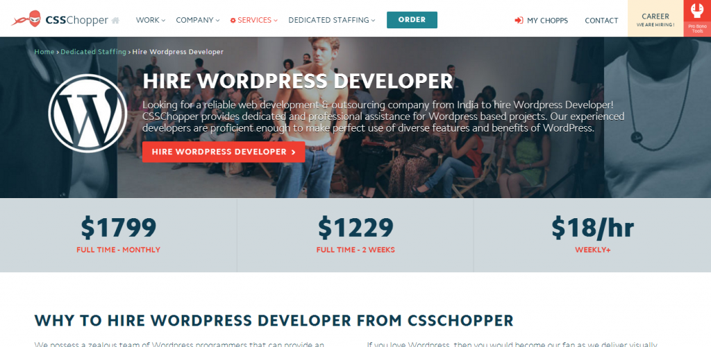 Where To Find WordPress Developers As Per Business Requirement